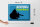 Blechschild Spruch 40x30cm Achtung Kampfkatze Katze blau