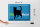 Blechschild Spruch 40x30cm Yes We cat Katze blau