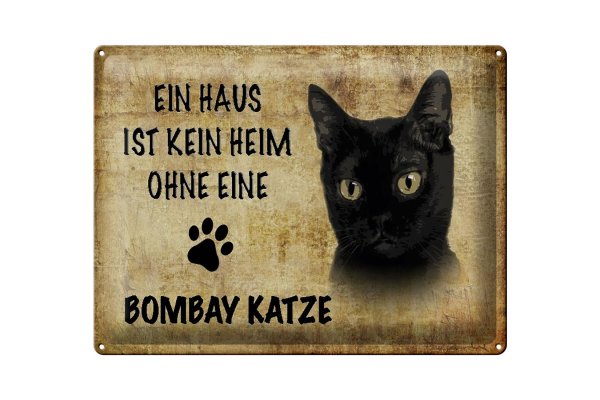 Blechschild Spruch 40x30cm Bombay Katze ohne kein Heim