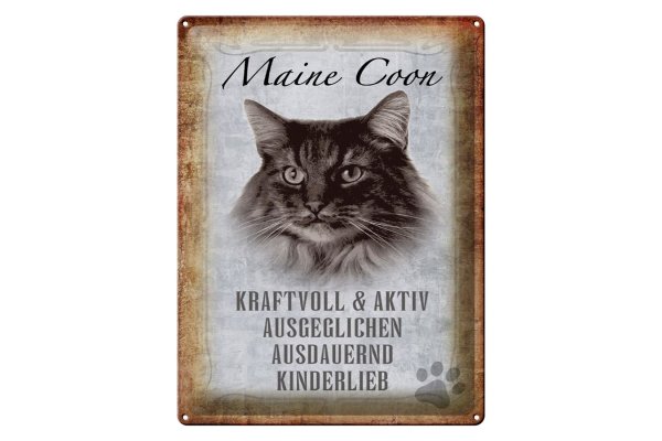 Blechschild Spruch 30x40cm Maine Coon Katze aktiv Schild