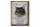 Blechschild Spruch 30x40cm Maine Coon Katze aktiv Schild