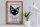 Blechschild Spruch 30x40cm Siamkatze Katze grazil Schild