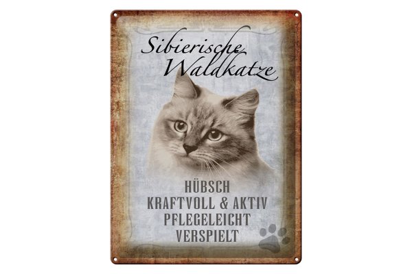 Blechschild Spruch 30x40cm sibierische Waldkatze Katze Wandschild