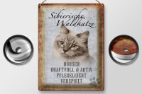 Blechschild Spruch 30x40cm sibierische Waldkatze Katze Wandschild
