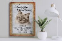 Blechschild Spruch 30x40cm sibierische Waldkatze Katze Wandschild