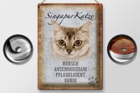 Blechschild Spruch 30x40cm Singapur Katze Schild