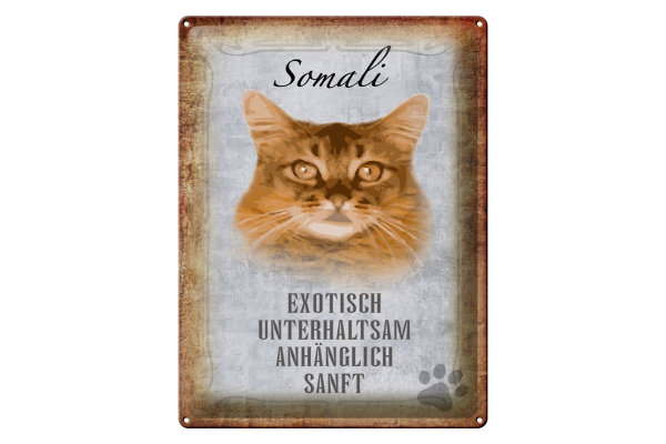 Blechschild Spruch 30x40cm Somali Katze Schild deko