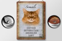 Blechschild Spruch 30x40cm Somali Katze Schild deko