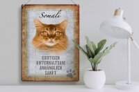 Blechschild Spruch 30x40cm Somali Katze Schild deko