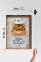 Blechschild Spruch 30x40cm Somali Katze Schild deko