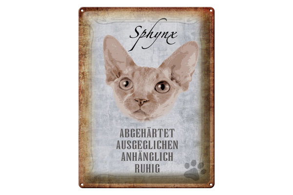 Blechschild Spruch 30x40cm Sphynx Katze Schild deko