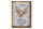 Blechschild Spruch 30x40cm Sphynx Katze Schild deko