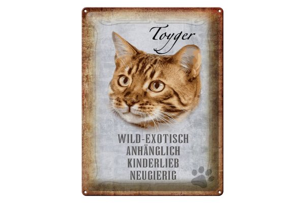 Blechschild Spruch 30x40cm Toyger Katze Schild