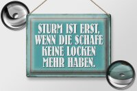 Blechschild Spruch 40x30cm Sturm wenn Schafe keine Locken