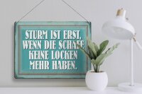 Blechschild Spruch 40x30cm Sturm wenn Schafe keine Locken