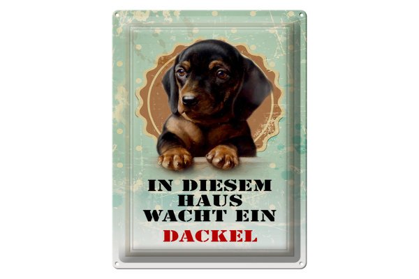 Blechschild Hund 30x40cm in diesem Haus wacht ein Dackel