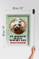 Blechschild Hund 30x40cm in diesem Haus wacht Malteser