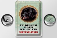 Blechschild Hund 30x40cm diesem Haus wacht Neufundländer