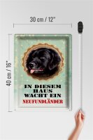 Blechschild Hund 30x40cm diesem Haus wacht Neufundländer