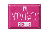 Blechschild Spruch 40x30cm Im NIVEAU flexibel