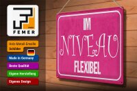 Blechschild Spruch 40x30cm Im NIVEAU flexibel