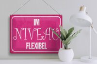 Blechschild Spruch 40x30cm Im NIVEAU flexibel