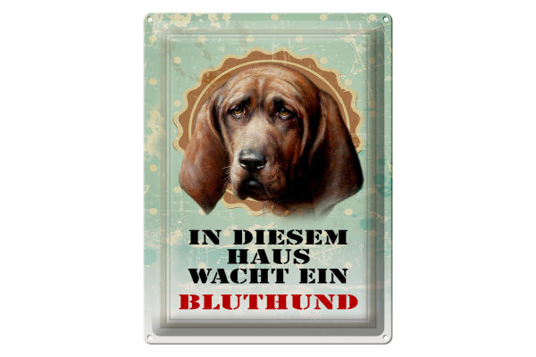 Blechschild Hund 30x40cm in diesem Haus wacht Bluthund