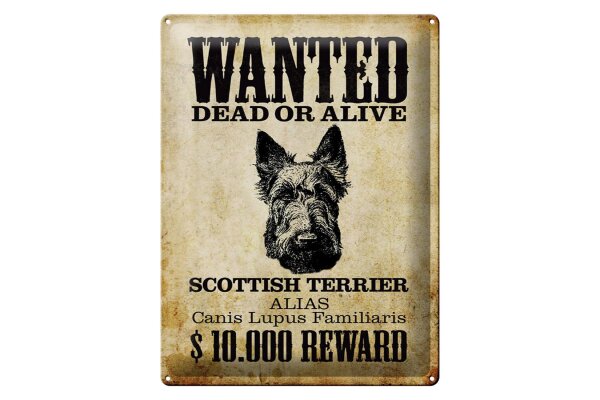 Blechschild Hund 30x40cm wanted Scottish Terrier