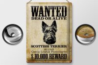 Blechschild Hund 30x40cm wanted Scottish Terrier