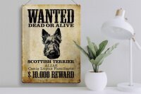 Blechschild Hund 30x40cm wanted Scottish Terrier