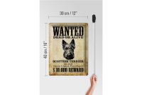 Blechschild Hund 30x40cm wanted Scottish Terrier