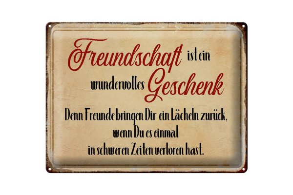 Blechschild Spruch 40x30cm Freundschaft ist ein wundervolles