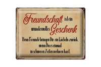 Blechschild Spruch 40x30cm Freundschaft ist ein wundervolles