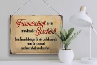 Blechschild Spruch 40x30cm Freundschaft ist ein wundervolles