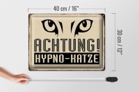 Blechschild Retro 40x30cm Achtung Hypno-Katze Schild