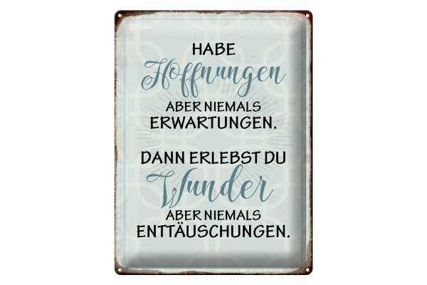 Blechschild Spruch 30x40cm habe Hoffnungen nie Erwartungen