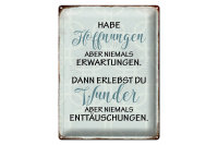 Blechschild Spruch 30x40cm habe Hoffnungen nie Erwartungen