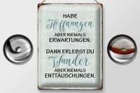 Blechschild Spruch 30x40cm habe Hoffnungen nie Erwartungen