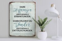 Blechschild Spruch 30x40cm habe Hoffnungen nie Erwartungen