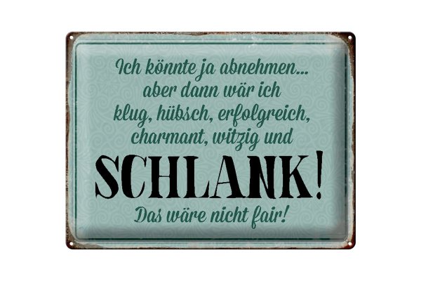 Blechschild Spruch 40x30cm könnte abnehmen dann klug hübsch