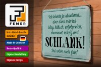 Blechschild Spruch 40x30cm könnte abnehmen dann klug hübsch