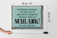 Blechschild Spruch 40x30cm könnte abnehmen dann klug hübsch