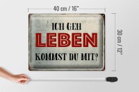 Blechschild Spruch 40x30cm geh leben kommst du mit Retro