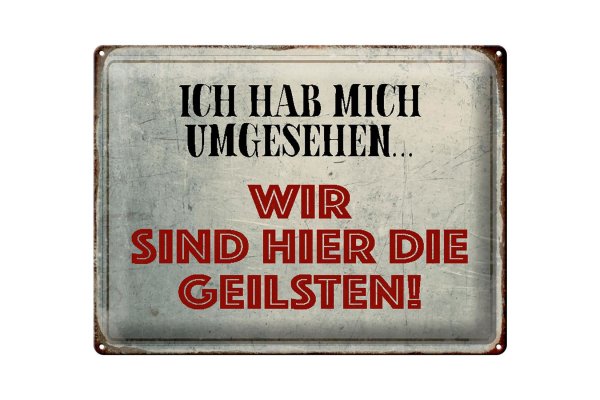 Blechschild Spruch 40x30cm wir sind die Geilsten Schild