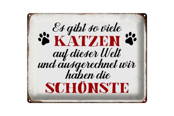Blechschild Spruch 40x30cm wir haben die schönste Katze