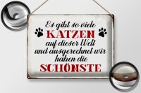 Blechschild Spruch 40x30cm wir haben die schönste Katze