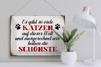 Blechschild Spruch 40x30cm wir haben die schönste Katze