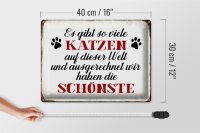 Blechschild Spruch 40x30cm wir haben die schönste Katze