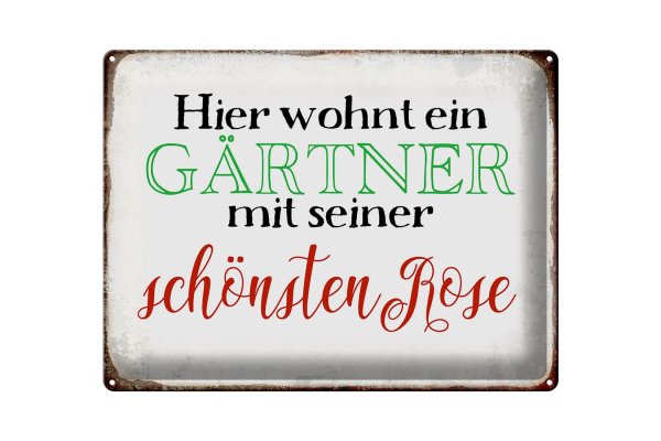 Blechschild Spruch 40x30cm hier Gärtner mit schönster Rose