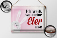 Blechschild Spruch 40x30cm Osterhase weiß wo Eier sind